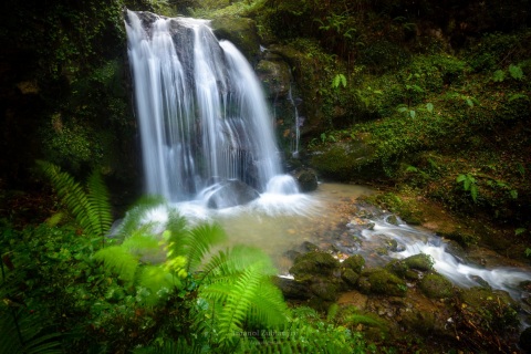 Lugar de lamias