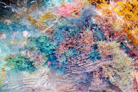 Kaleidoskopio II