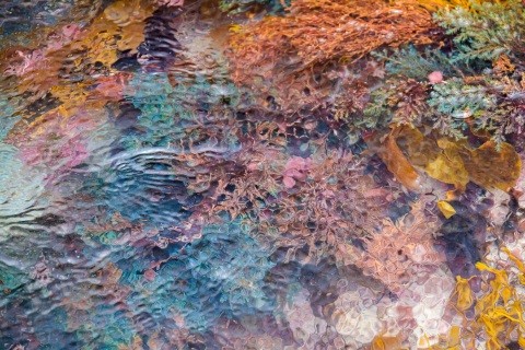 Kaleidoskopio-5_