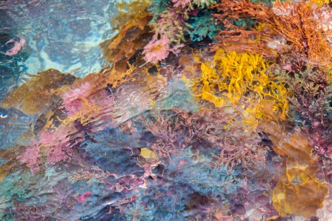 Kaleidoskopio-6_