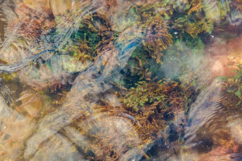 Kaleidoskopio-7_