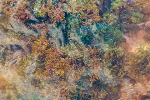 Kaleidoskopio-8_