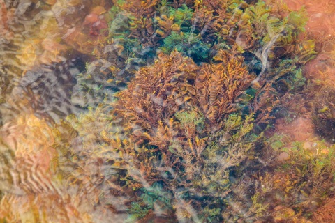 Kaleidoskopio-9_