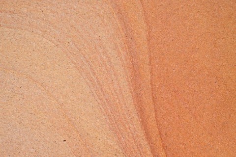 Motion-2