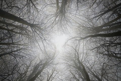 In Tenebra