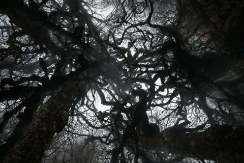 in-tenebra-02