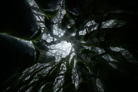 in-tenebra-03