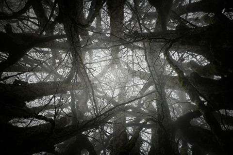 in-tenebra-04