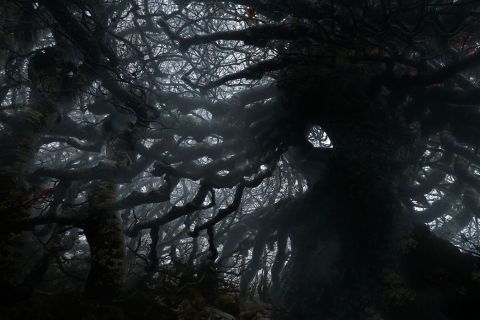 Lovecraft-basoak-03